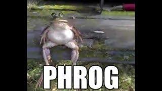 PHROG...