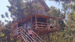 Finally my treehouse tour   requested video | Treehouse near Bangalore