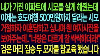 【사연열차①】내 아파트에 시모를 살게해줬는데 이제는 효도여행 500만원까지 달라는 시모..거절하자 이혼당하고 싶냐며 웬 여자사진을 보여주네요? 정신나간 두모자 참교육하는데#실화사연