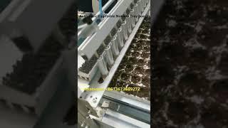 Automatic Nursery Seeder Machine - Complete Seedling Line from Taizy 2023 #nursery #seeder