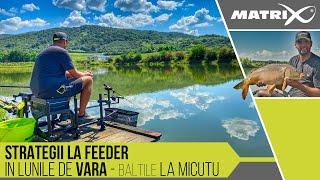 Strategii de pescuit la feeder in lunile de vara - baltile "la Micutu"