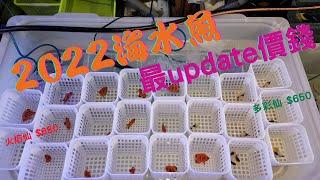 2022 海水魚最update價錢