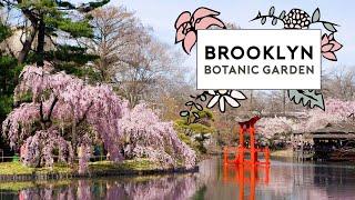 How to Visit Brooklyn Botanic Gardens Online