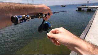 Catching Bream on Lures with So Much Bycatch! Fishing Perth's Swan River