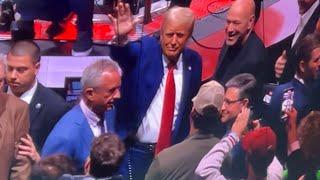 Donald Trump entrance at UFC 309 in Madison Square Garden