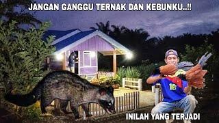 JANGAN GANGGU TERNAK DAN KEBUNKU..!! INILAH YANG TERJADI