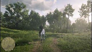 Red Dead Redemption 2 Capturing A (Fake) Zebra