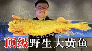 5200元一条的顶级野生大黄鱼，金光闪闪的海鲜珍品 【渣叔爱酒】