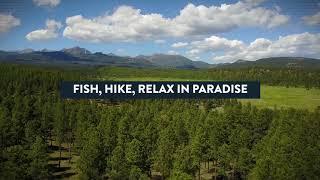 Pagosa Springs Homes for Sale