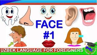 1.4. Parts of the FACE in Uzbek (part 1)