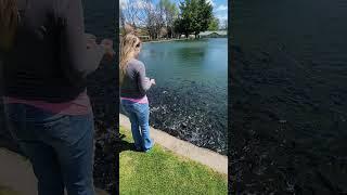 The wife feeding a couple rainbow trout WOW