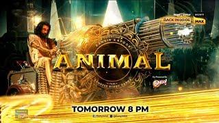 Sony max Animal | tomorrow 8 pm | SJ TV PROMO