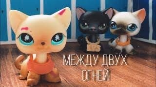 LPS сериал: „Между двух огней” 2 серия [1 сезон]