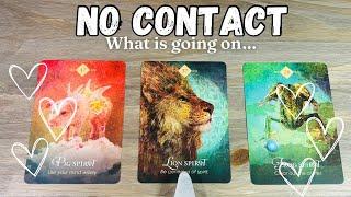 Whats Happening with Them??  Pick A Card Detailed no contact/minimal contact Love Tarot Reading