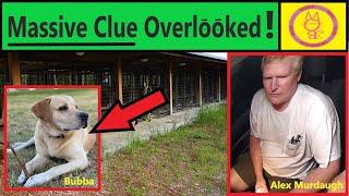 Dogs Barking! Huge Clue in 911 Call | Alex Murdaugh