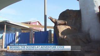 NBC4 behind the scenes at Columbus Zoo's Adventure Cove