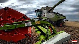 Gerste Ernte 2020 CLAAS LEXION 780 Agrardienste ROHLFING / Remake 2021! 4k UHD!