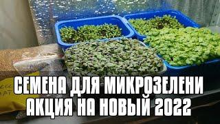 АКЦИЯ НА СЕМЕНА МИКРОЗЕЛЕНИ К НОВОМУ 2022 - СЕМЕНА МИКРОЗЕЛЕНИ ПО СУПЕР ЦЕНЕ + ПОДАРОК @YouTube
