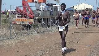 Umkhosi Womhlanga   Reed Dance 2022