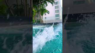 Pool view #vlog #viral #subscribetomychannel #travel #poolview