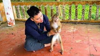 Father's affectionate moments with Monkey Kaka