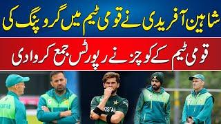 Shaheen Afridi Is The Main Culprit In Pak Team - Pak Coaches Disclosed The Reports - 24 News HD