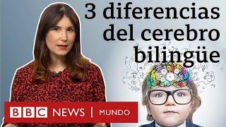 Cómo cambia tu cerebro al hablar varios idiomas | BBC Mundo