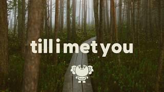 Said The Sky & good problem - Till I Met You (lyrics)