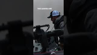 Fall Bass Fishing in the Northeast #bassfishing #smallmouthbass #bass