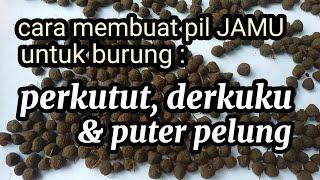 Cara membuat pil jamu untuk burung perkutut,derkuku dan puter pelung