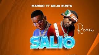 Marioo Ft Meja Kunta - SALIO Remix (Official Audio) #marioo  #mejakunta #dullamakabila