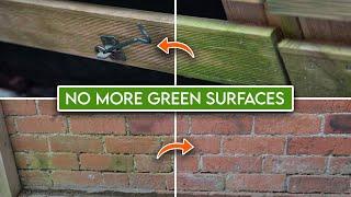 How to Remove Green Algae in Your Garden | Garden Ready for Summer Series | Ep3