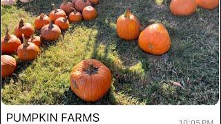 | USA Kaburlu | Pumpkin Farms Dallas | USA Telugu Vlogs | USA |