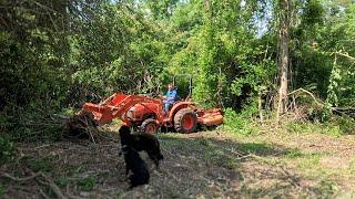 Epic Land Clearing Leads To Old Dam Discovered On 140 Year Old Farm!