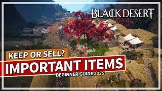 Important Items to Keep or Sell and Why? Beginners Guide 2025 | Black Desert