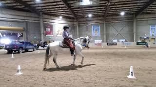 Melanie and Double Shot,  Cowboy Dressage,  February 23, 2023.  Test 1