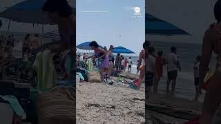 Massive swarm of dragonflies invades beach in Rhode Island