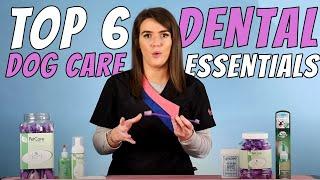 Top 6 Oral/Dental Care Essentials for Dogs - Dog Groomer/Pet Owner