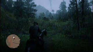 Red Dead Redemption 2 | تحفة فنية