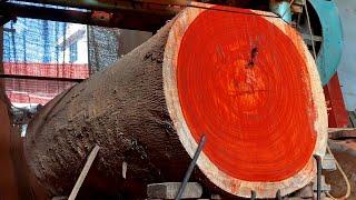 Giant Wood Processing Factory - Rare Wood Processing Process at the Factory by Vietnamese Engineers