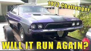 RESCUED 1973 CHALLENGER | WILL IT RUN AGAIN?