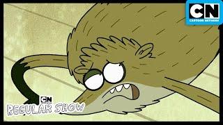 Skunked | The Regular Show | Season 2 | Cartoon Network