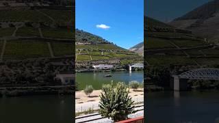 Discover the Magic of the Douro Valley! 