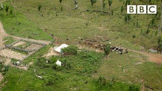 The challenge of saving the Amazon | Equator from the Air - BBC