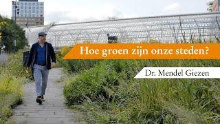 Hoe groen zijn onze steden? | Dr. Mendel Giezen | Universiteit van Amsterdam