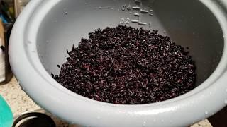 My Oster DuraCeramic 6-Cup Rice Cooker: Cooking Black Rice