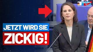 Regierungsbefragung: AfD-Fraktion nimmt grüne Ministerinnen ins Kreuzverhör!