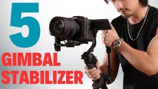 5 Best Budget Camera Gimbal Stabilizer of 2024 | Handheld Gimbal