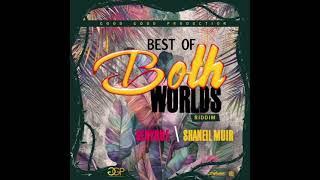 Best Of Both Worlds Riddim Mix (2020) By DJ WOLFPAK