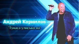 Андрей Корнилов   Тунаса улисько на